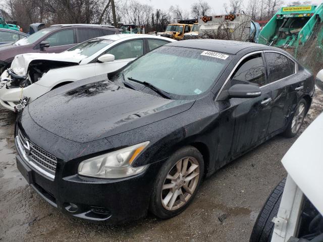 NISSAN MAXIMA S 2011 with VIN 1N4AA5AP6BC836493 - Photo from auction