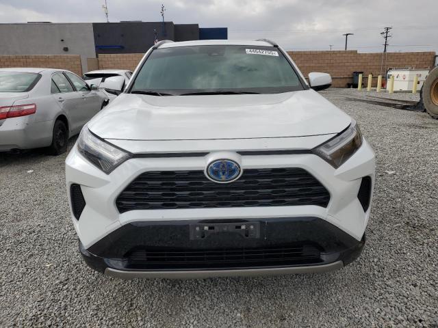 Photo 5 from auction – 2023 TOYOTA RAV4 SE with VIN JTM16RFV7PD100545