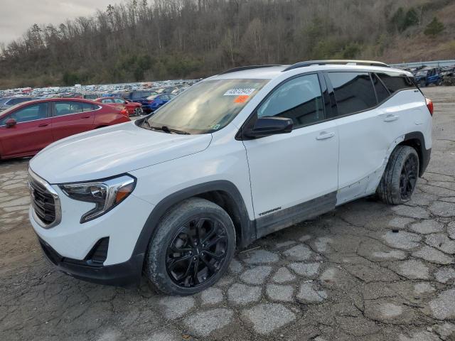 GMC TERRAIN SL 2020 with VIN 3GKALTEV1LL286244 - Photo from auction