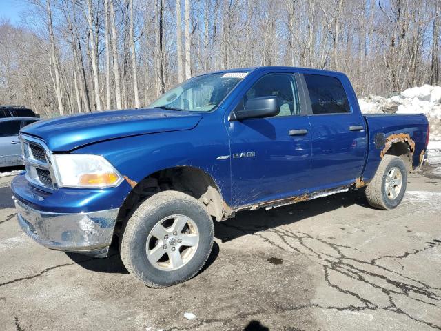 DODGE RAM 1500 2009 con VIN 1D3HV13P59S717697 - Foto de la subasta