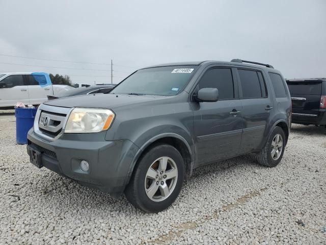 HONDA PILOT EXL 2009 with VIN 5FNYF38549B005980 - Photo from auction