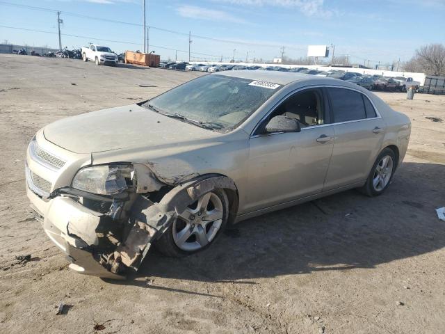 CHEVROLET MALIBU LS 2011 with VIN 1G1ZB5E17BF251736 - Photo from auction