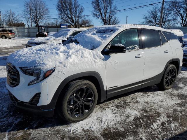 GMC TERRAIN SL 2020 with VIN 3GKALMEVXLL272297 - Photo from auction