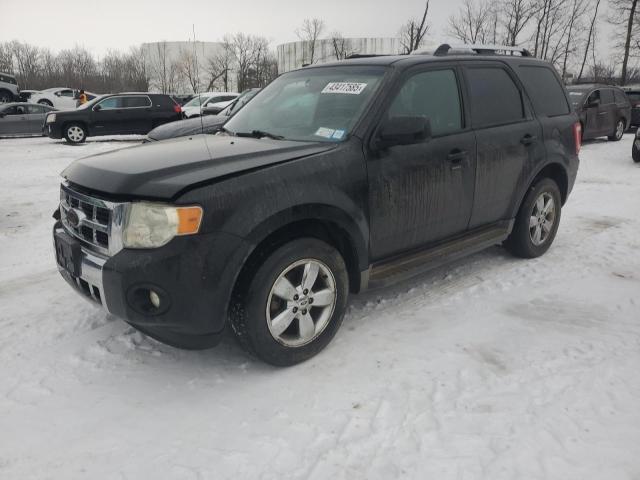 Photo 1 from auction – 2010 FORD ESCAPE LIM with VIN 1FMCU9EG3AKC99738
