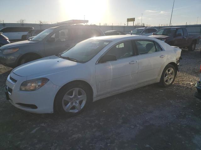CHEVROLET MALIBU LS 2011 with VIN 1G1ZB5E13BF254987 - Photo from auction