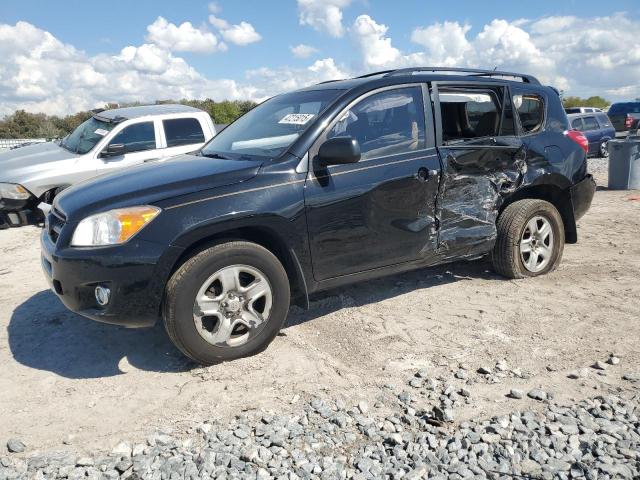 TOYOTA RAV4 2011 with VIN 2T3ZF4DV9BW101667 - Photo from auction