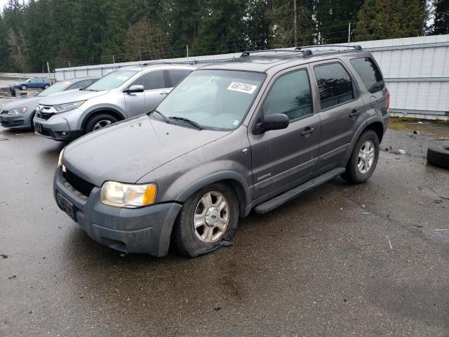 FORD ESCAPE XLT 2002 with VIN 1FMCU03132KD34953 - Photo from auction
