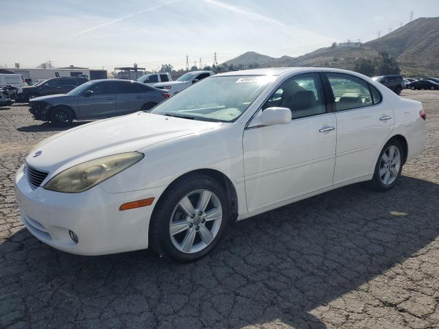LEXUS ES 330 2005 with VIN JTHBA30G855096344 - Photo from auction