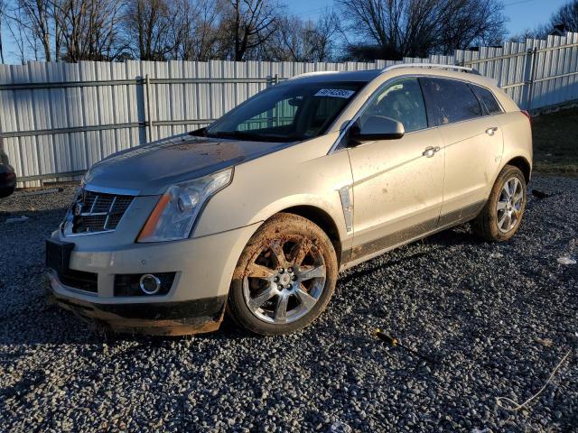 CADILLAC SRX PERFOR 2012 with VIN 3GYFNBE33CS526267 - Photo from auction