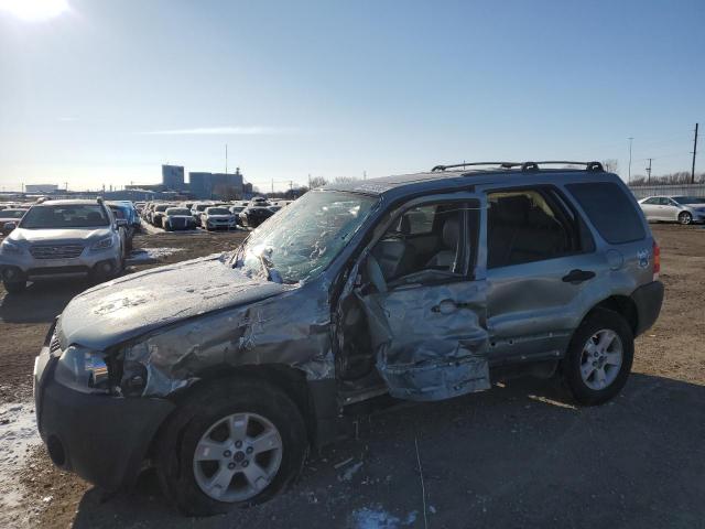 FORD ESCAPE XLT 2005 with VIN 1FMCU031X5KA29048 - Photo from auction