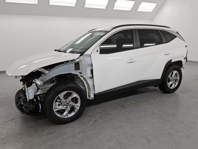 HYUNDAI TUCSON SEL 2023 with VIN 5NMJBCAE3PH277214 - Photo from auction