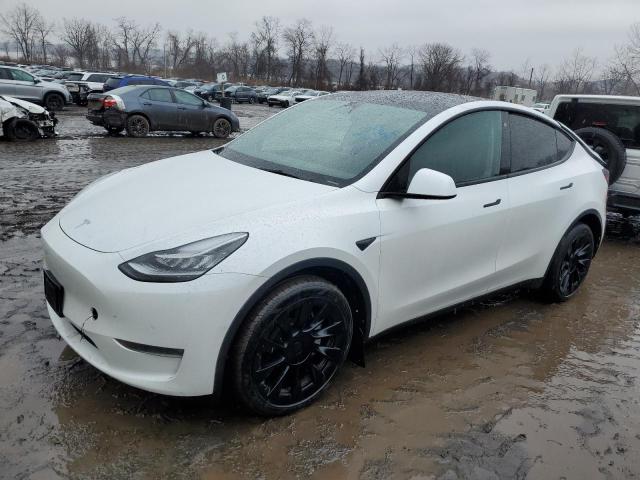 TESLA MODEL Y 2022 with VIN 7SAYGDEE6NA016495 - Photo from auction