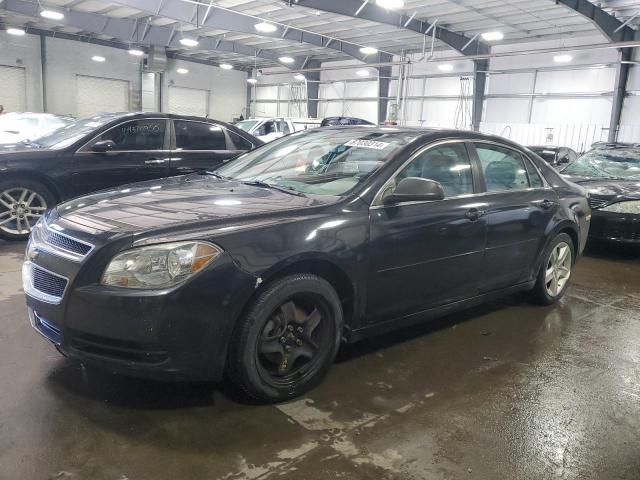 CHEVROLET MALIBU LS 2012 with VIN 1G1ZB5E02CF225568 - Photo from auction