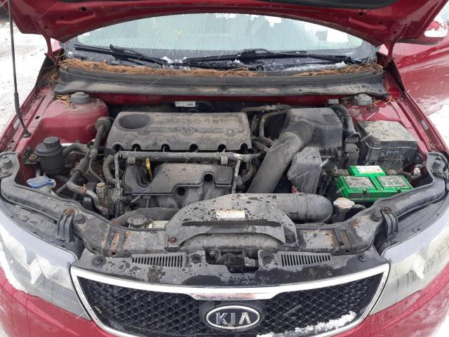 Photo 12 from auction – 2010 KIA FORTE EX with VIN KNAFU4A28A5226536
