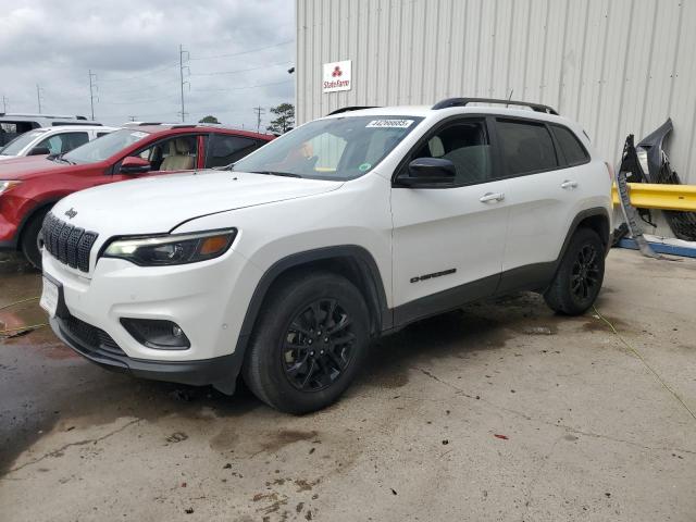 JEEP CHEROKEE A 2023 with VIN 1C4PJMMB0PD109916 - Photo from auction