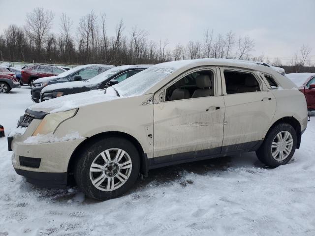 CADILLAC SRX LUXURY 2012 with VIN 3GYFNAE34CS522867 - Photo from auction
