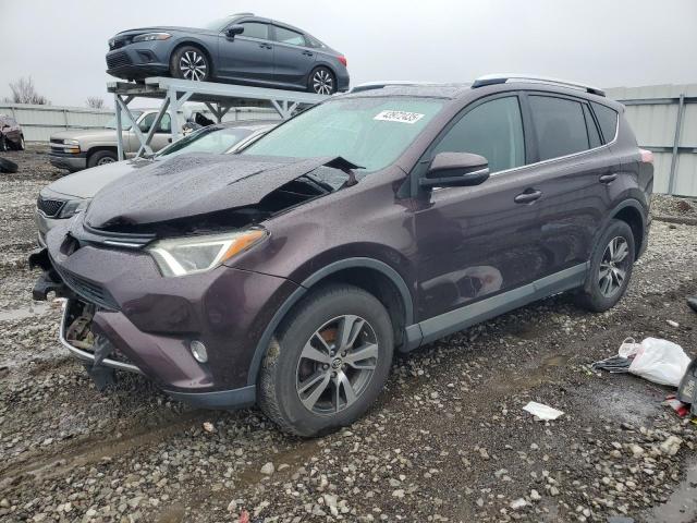TOYOTA RAV4 XLE 2016 with VIN 2T3RFREV6GW463104 - Photo from auction