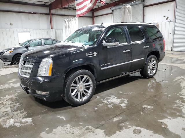 CADILLAC ESCALADE P 2011 with VIN 1GYS4DEF7BR332950 - Photo from auction