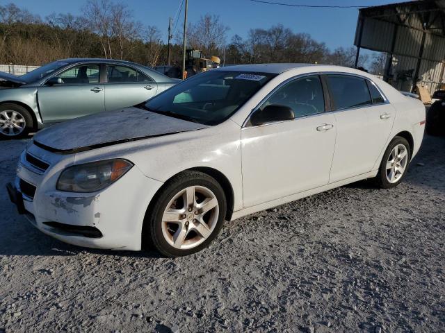 CHEVROLET MALIBU LS 2011 with VIN 1G1ZA5EU6BF351565 - Photo from auction