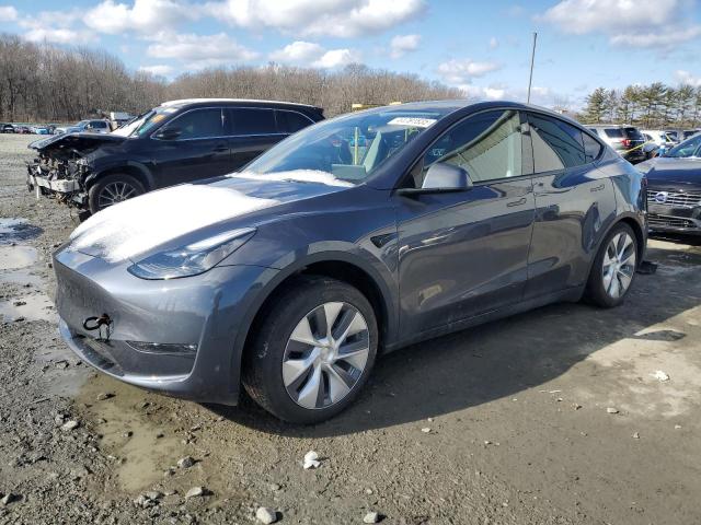 TESLA MODEL Y 2023 с VIN 7SAYGDEE1PF842242 - Снимка от търг