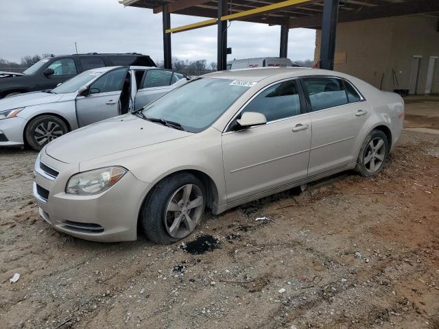 CHEVROLET MALIBU 1LT 2011 with VIN 1G1ZC5EU6BF353584 - Photo from auction