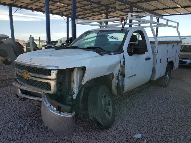 CHEVROLET SILVERADO 2013 with VIN 1GB0CVCG1DF175099 - Photo from auction