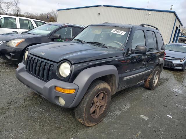 JEEP LIBERTY SP 2002 with VIN 1J4GL48K92W143932 - Photo from auction