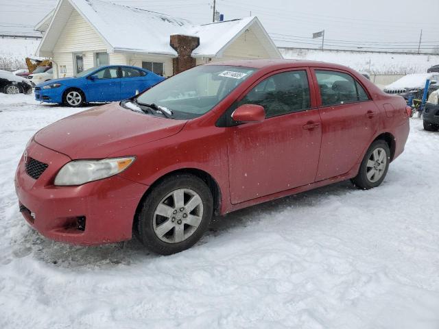 TOYOTA COROLLA BA 2010 with VIN 2T1BU4EE0AC341141 - Photo from auction