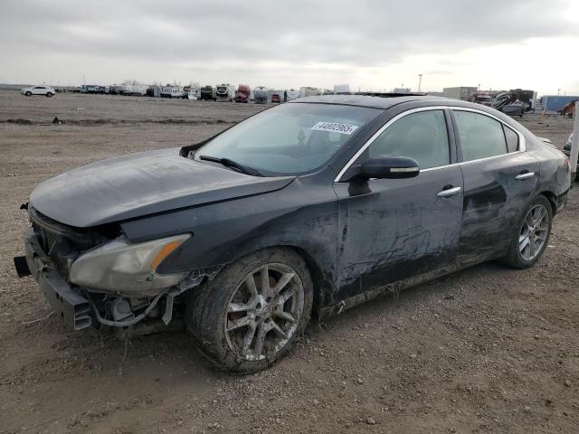 NISSAN MAXIMA S 2010 with VIN 1N4AA5AP0AC842224 - Photo from auction
