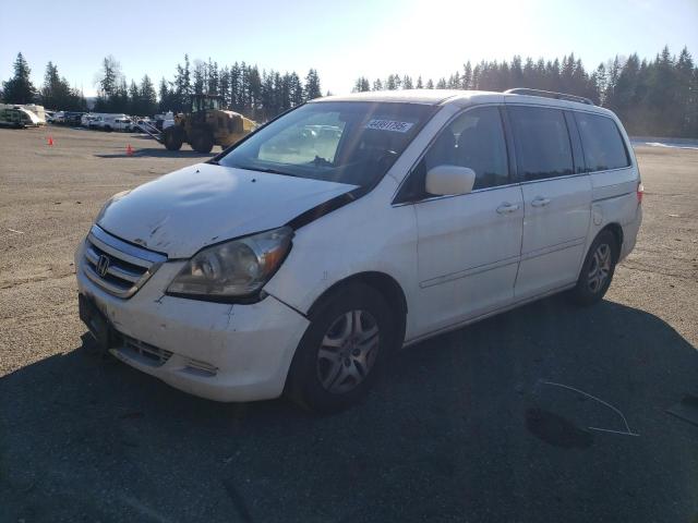 HONDA ODYSSEY EX 2007 with VIN 5FNRL38617B134231 - Photo from auction