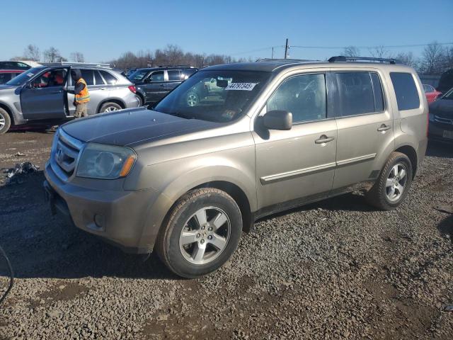 HONDA PILOT EXL 2009 with VIN 5FNYF48539B033436 - Photo from auction