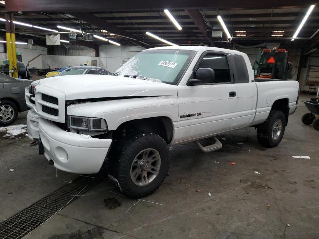 DODGE RAM 1500 2001 with VIN 3B7HF13Z81G743343 - Photo from auction