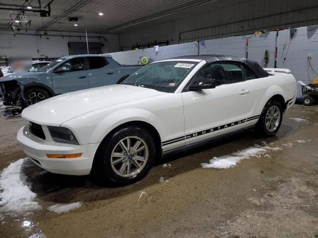 FORD MUSTANG 2005 with VIN 1ZVFT84N855256853 - Photo from auction