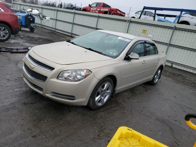 CHEVROLET MALIBU 2010 with VIN 1G1ZC5EB7AF125431 - Photo from auction