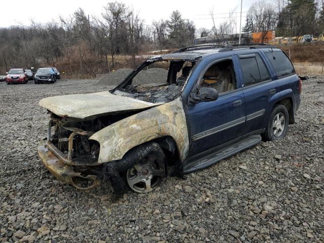 CHEVROLET TRAILBLAZE 2002 with VIN 1GNDT13S622229406 - Photo from auction