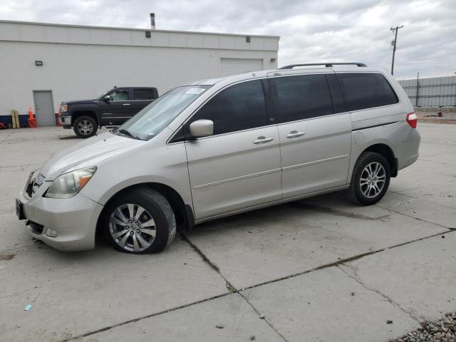HONDA ODYSSEY EX 2007 with VIN 5FNRL38707B060762 - Photo from auction