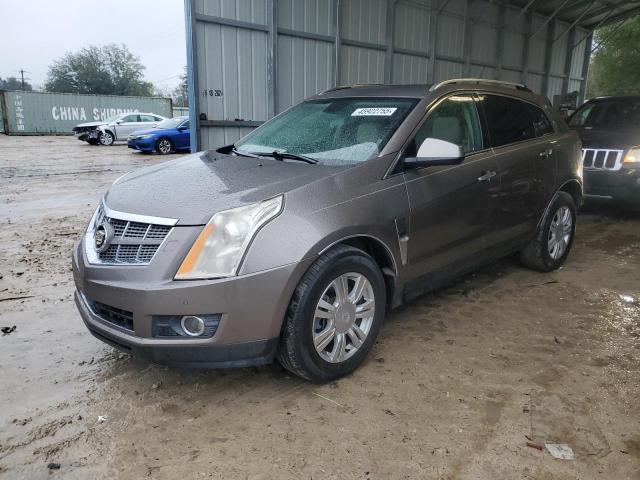 CADILLAC SRX PERFOR 2012 with VIN 3GYFNBE37CS564231 - Photo from auction