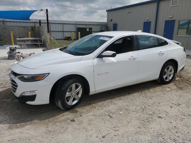 Photo 1 from auction – 2024 CHEVROLET MALIBU LT with VIN 1G1ZD5ST6RF130562