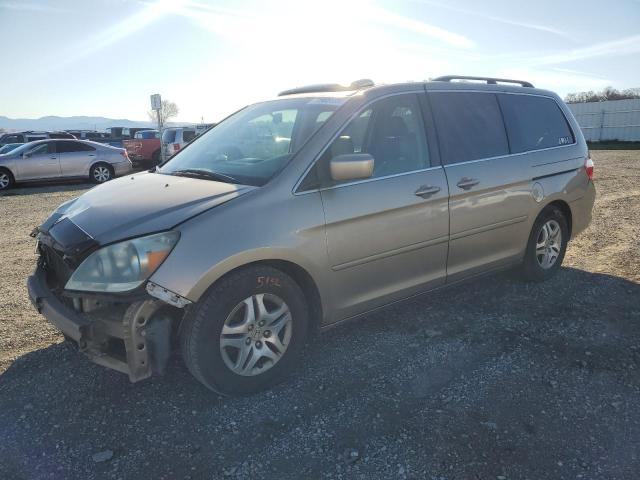 HONDA ODYSSEY EX 2007 with VIN 5FNRL38727B434644 - Photo from auction