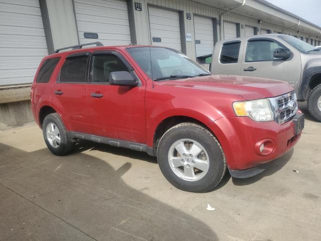 Photo 4 from auction – 2011 FORD ESCAPE XLT with VIN 1FMCU0D70BKB64201
