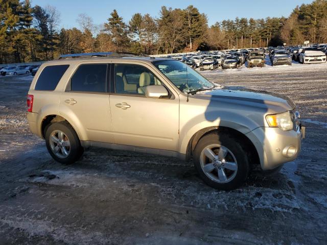 Photo 4 from auction – 2010 FORD ESCAPE LIM with VIN 1FMCU9EG3AKD23701