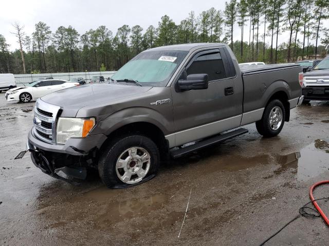 FORD F150 2013 with VIN 1FTMF1CM9DFD30386 - Photo from auction