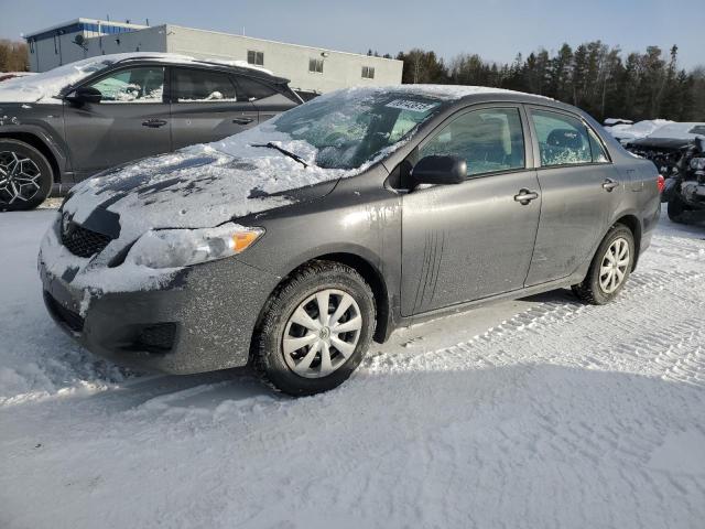 TOYOTA COROLLA BA 2010 with VIN 2T1BU4EE9AC219863 - Photo from auction