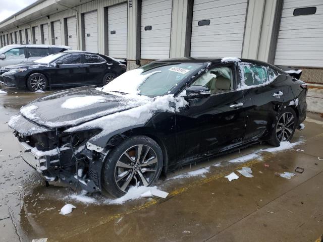 NISSAN MAXIMA SV 2021 with VIN 1N4AA6CV8MC513664 - Photo from auction