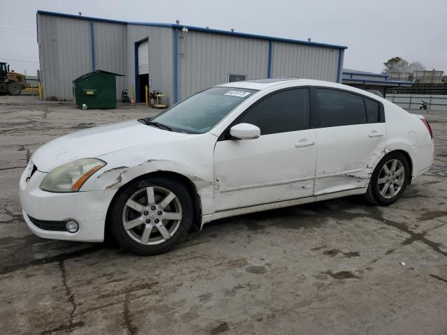 NISSAN MAXIMA SE 2006 with VIN 1N4BA41E16C842768 - Photo from auction