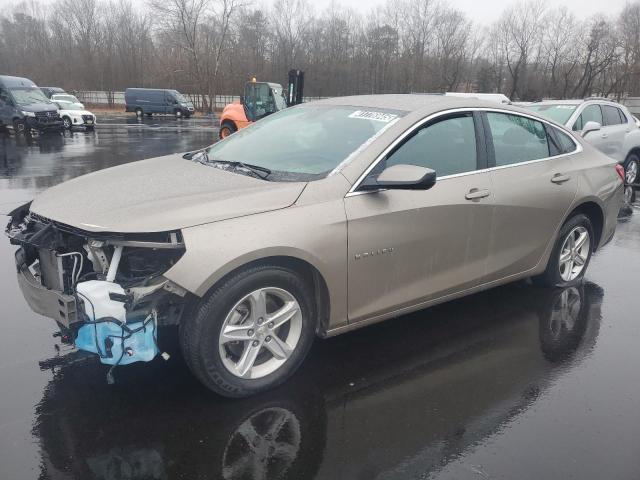 CHEVROLET MALIBU LT 2024 with VIN 1G1ZD5ST9RF233071 - Photo from auction