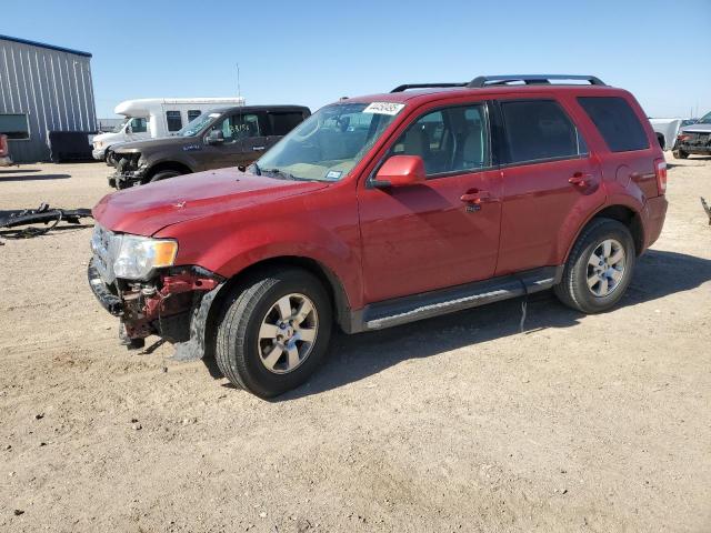 FORD ESCAPE LIM 2011 with VIN 1FMCU0EG1BKB32534 - Photo from auction