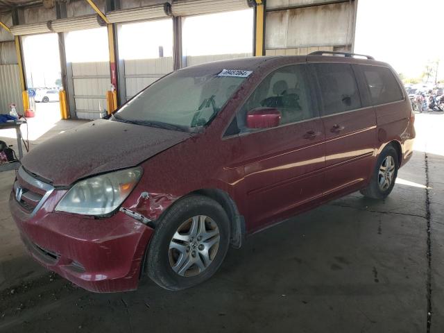HONDA ODYSSEY EX 2005 with VIN 5FNRL387X5B078571 - Photo from auction