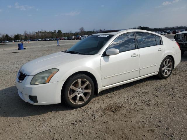 NISSAN MAXIMA SE 2008 with VIN 1N4BA41EX8C813532 - Photo from auction