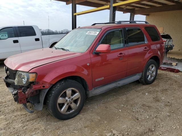 FORD ESCAPE LIM 2008 with VIN 1FMCU041X8KE63103 - Photo from auction